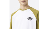 Camiseta Dickies Cologne LS Green Moss
