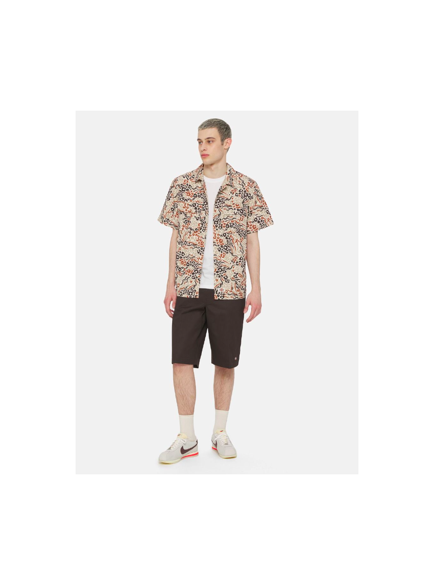 Camisa Dickies Saltville SS Shirt