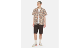 Camisa Dickies Saltville SS Shirt