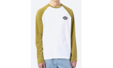 Camiseta Dickies Cologne LS Green Moss