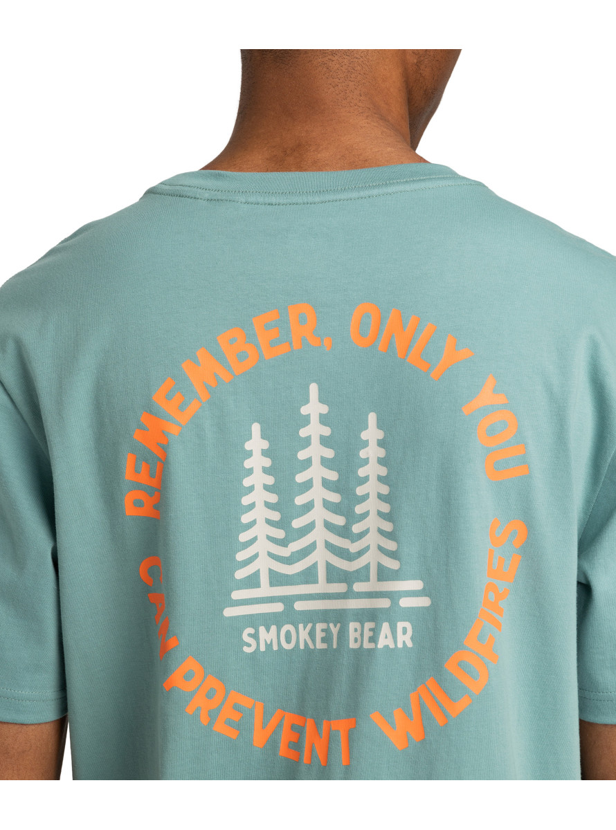 Camiseta Element x Smokey Bear Remember SS Trellis