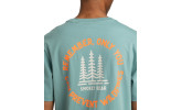 Camiseta Element x Smokey Bear Remember SS Trellis
