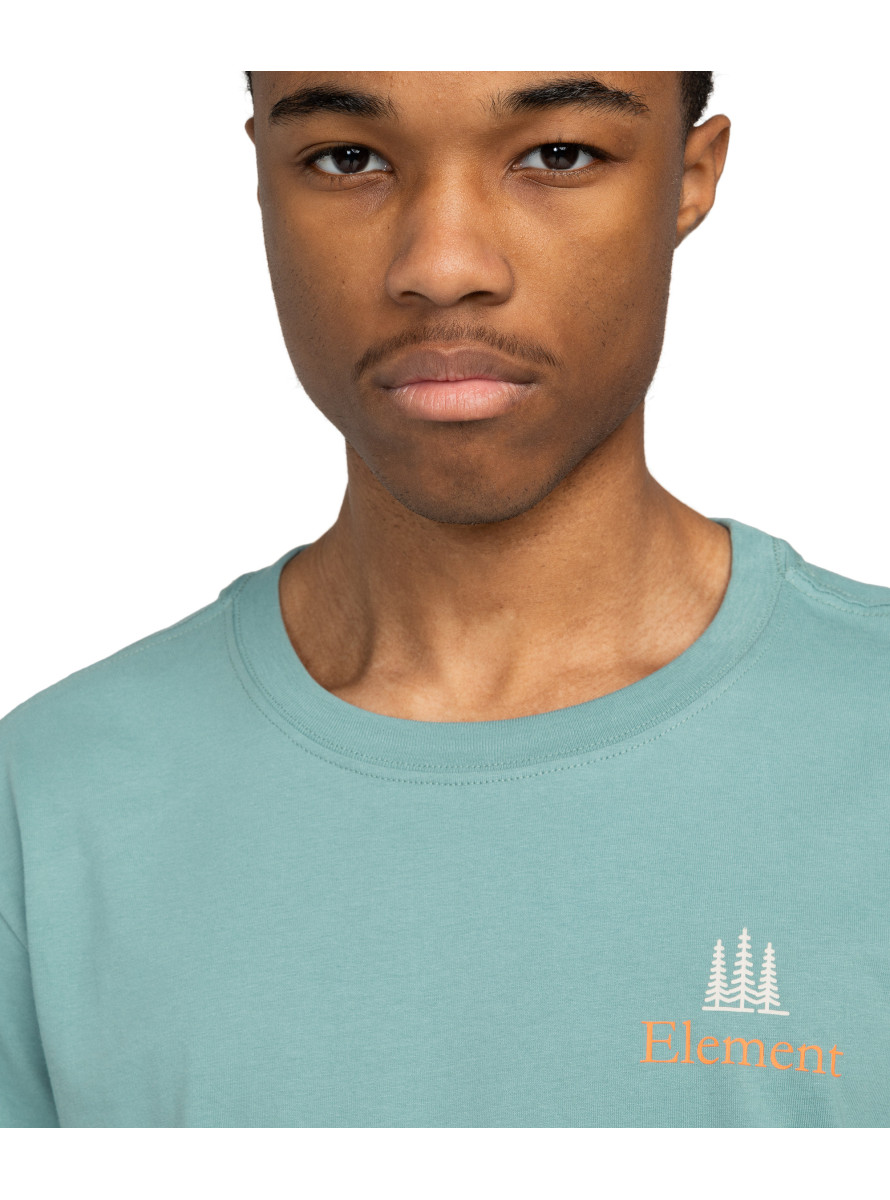 Camiseta Element x Smokey Bear Remember SS Trellis