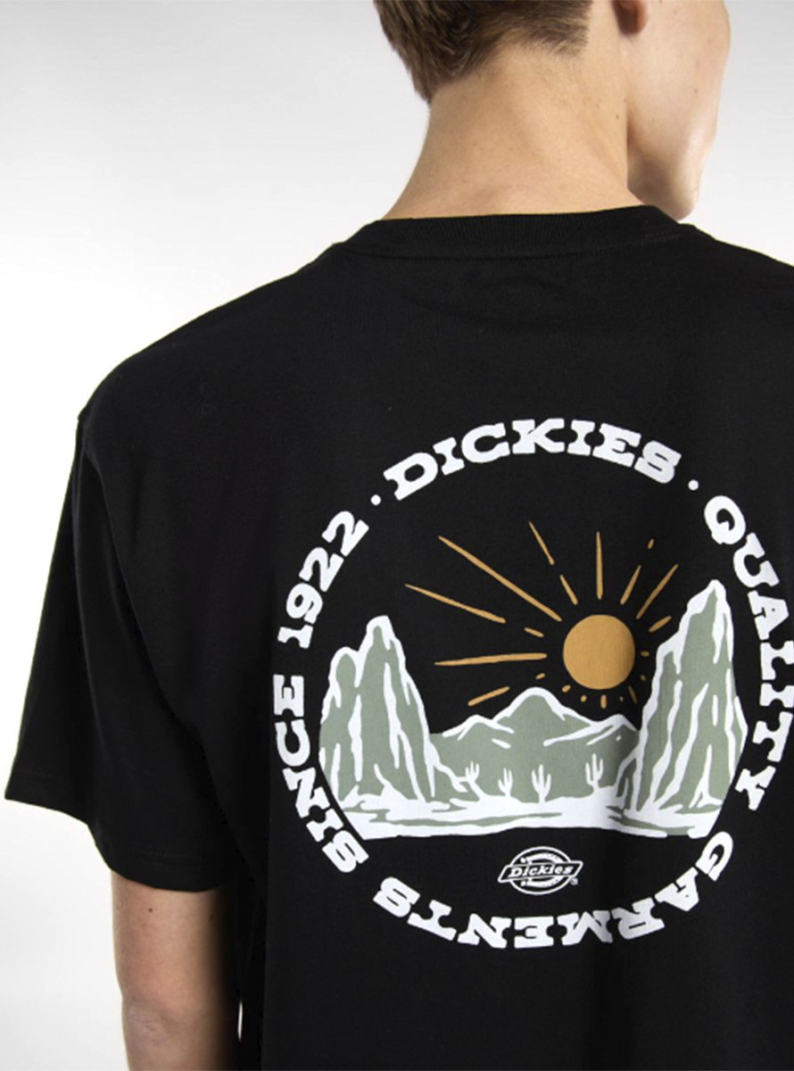 Camiseta Dickies Outdoor SS Tee Black