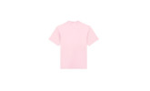Camiseta Dickies Plentywood  SS Tee Lilas