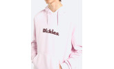 Sudadera Dickies Slayden GD Hoodie Winsome Orchid