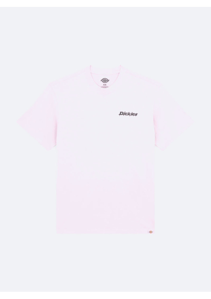 Camiseta Dickies Statesville Tee SS Peach Brulee