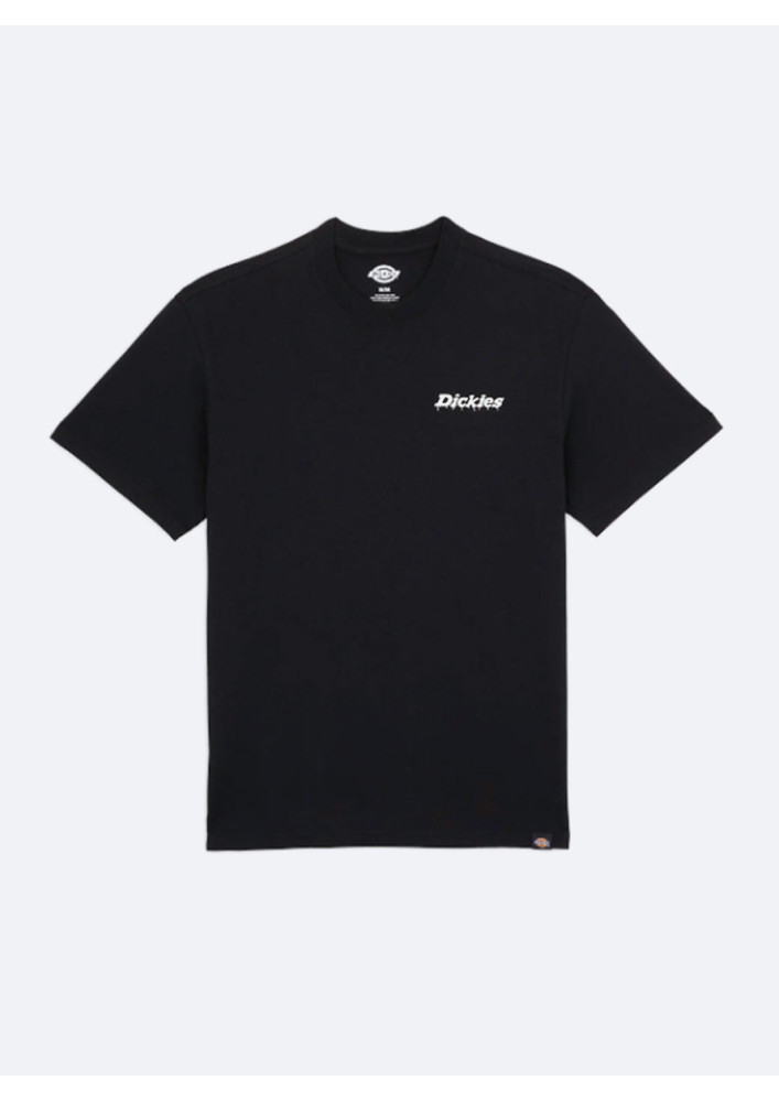 Camiseta Dickies Statesville Tee SS Black