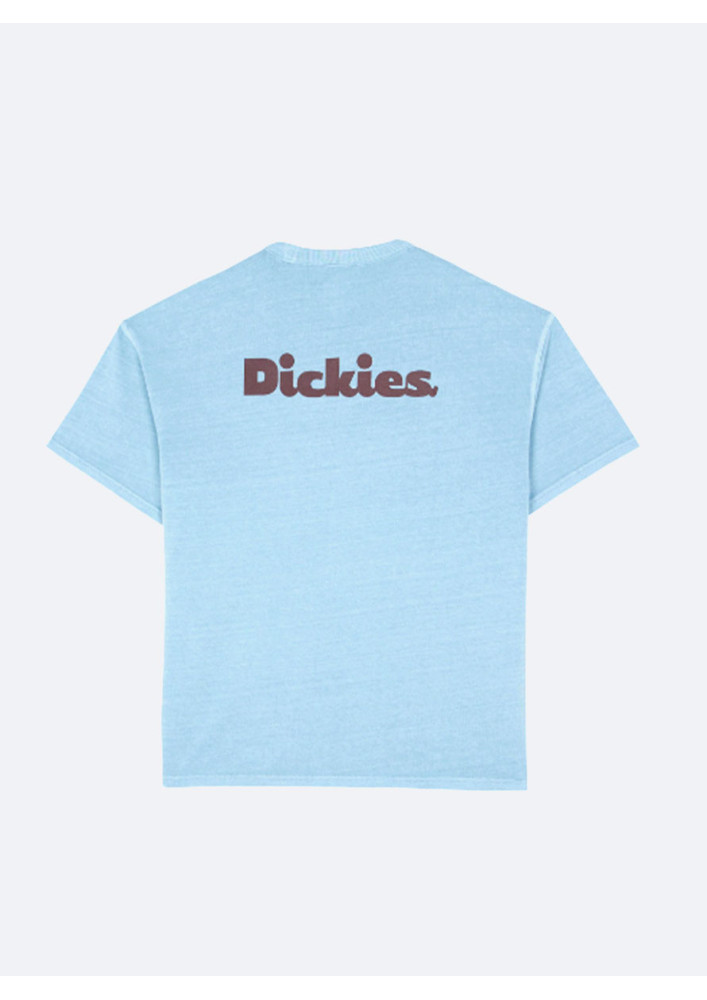 Camiseta Dickies Slayden GD Tee SS Glacier Lake