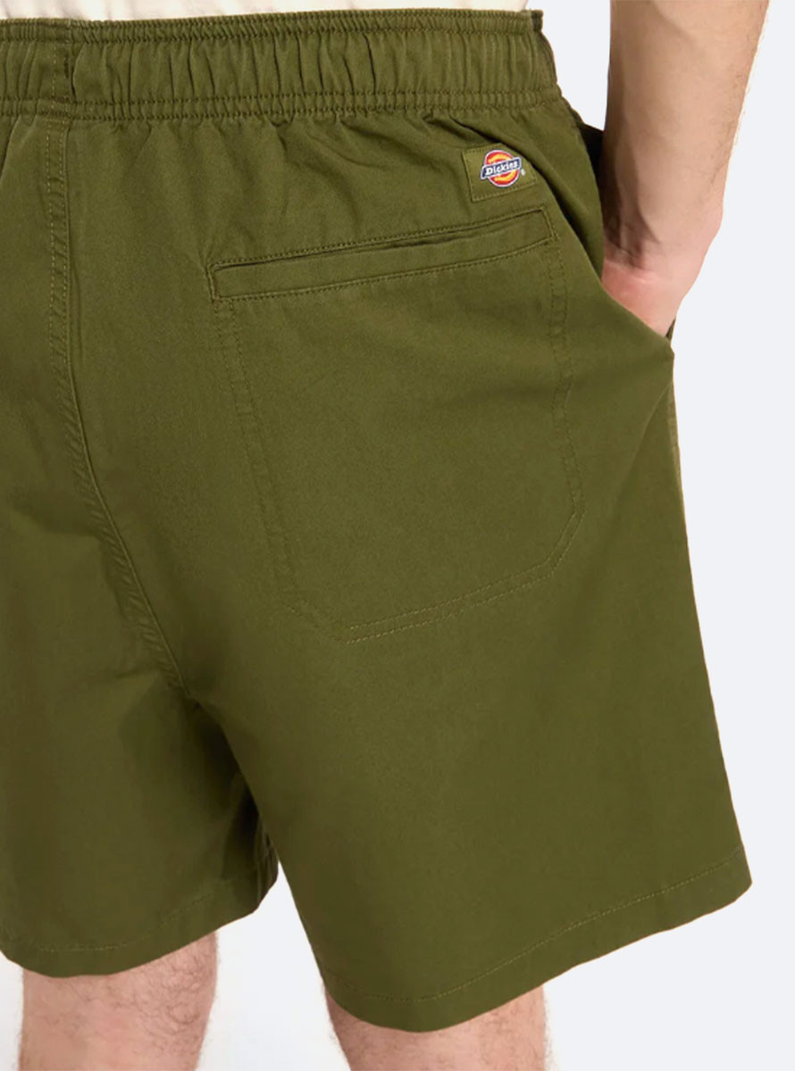 Bermuda Dickies Pelicans Rapids Short Cypress