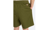 Bermuda Dickies Pelicans Rapids Short Cypress