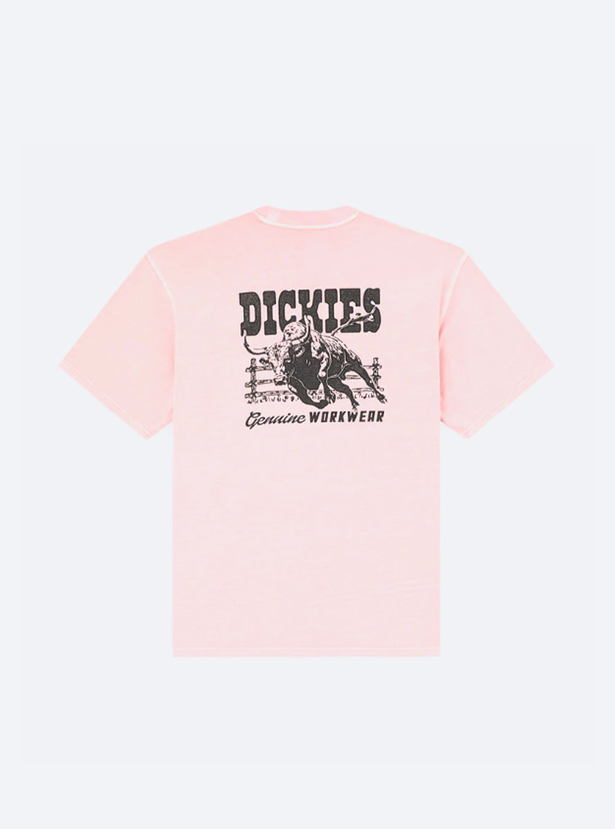 Camiseta Dickies Buchtell SS Bridal Rose