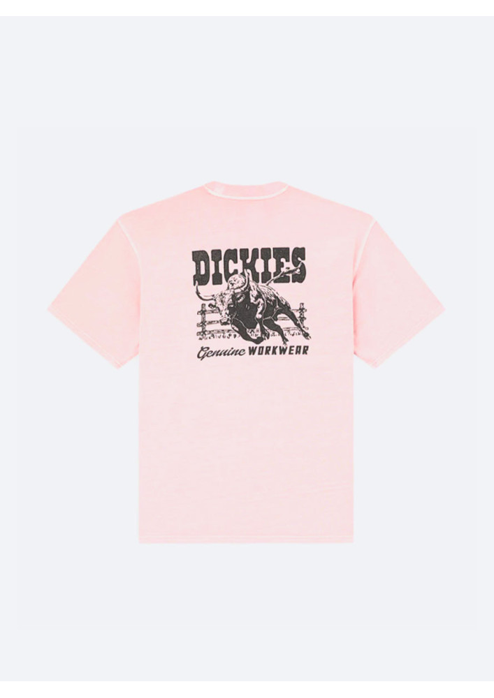 Camiseta Dickies Buchtell SS Bridal Rose