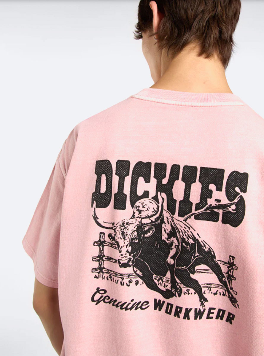 Camiseta Dickies Buchtell SS Bridal Rose