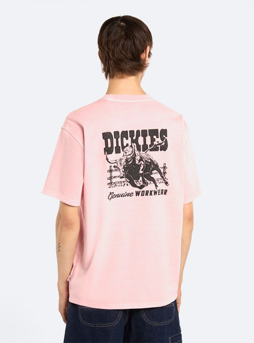 Camiseta Dickies Buchtell SS Bridal Rose